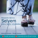 Alessandro Baricco - Cs�nyi S�ndor - Selyem - 2 CD