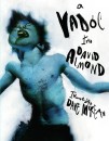 David Almond - Dave Mckean - A vad�c