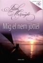 Judith Mcnaught - M�g el nem j�tt�l