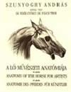 Szunyoghy Andr�s - A l� m�v�szeti anat�mi�ja