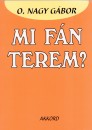 O. Nagy G�bor - Mi f�n terem?