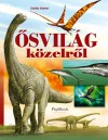 Zub�ly S�ndor - �svil�g k�zelr�l