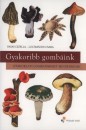 Locsm�ndi Csaba - Vasas Gizella - Gyakoribb gomb�ink