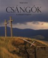 Pataki J�nos - Cs�ng�k - Az elfelejtett magyarok