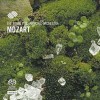 Wolfgang Amadeus Mozart - The Royal Philharmonic Orchestra - Mozart - Violin Concertos No. 5, 3 in A Major