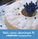 Ha�g Zal�n(Szerk.) - H�r�s v�rosi s�tem�nyek IV.