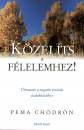 Pema Ch�dr�n - K�zel�ts a f�lelemhez!
