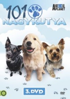 101 Nagykutya 3. - DVD