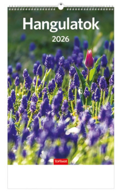 Hangulatok falinapt�r 22x33 cm - 2026