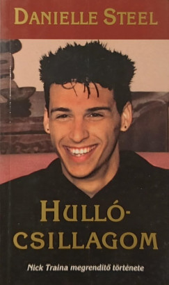 Danielle Steel - Hulló-csillagom