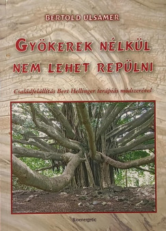 Bertold Ulsamer - Gyökerek nélkül nem lehet repülni