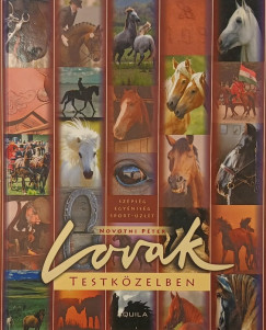 Novotni Péter - Lovak testközelben