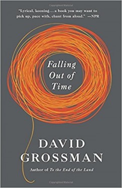 David Grossman - Falling Out of Time