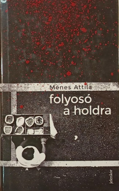 Mnes Attila - Folyos a Holdra