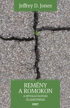 Jeffrey D. Jones - Remny a romokon