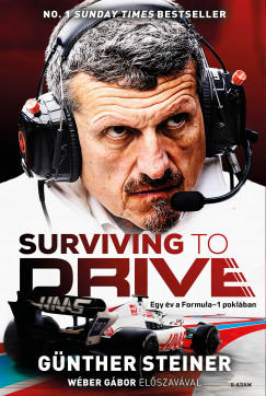 Gnther Steiner - Surviving to Drive