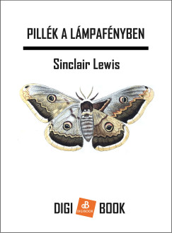 Sinclair Lewis - Pillk a lmpafnyben