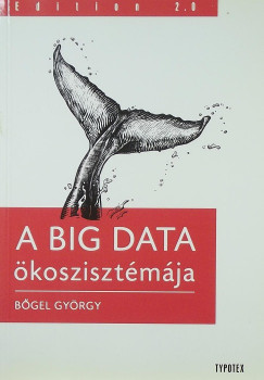 Bgel Gyrgy - A Big Data koszisztmja