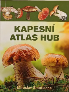 Kapesn Atlas hub