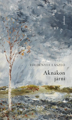 Földényi F. László - Aknákon járni