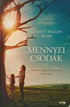 Christy Wilson Beam - Mennyei csodák