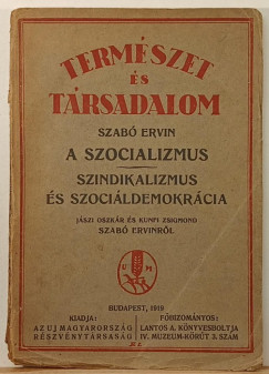 Szabó Ervin - A szocializmus - Szindikaklizmus és szociáldemokrácia
