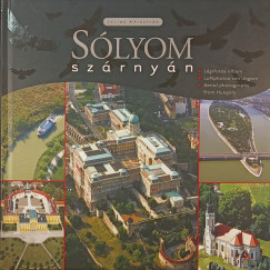 J�ling Kriszti�n - S�lyom sz�rny�n