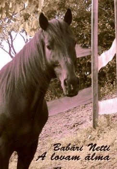 Bab�ri Netti - A lovam �lma