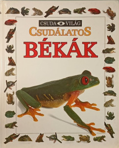 Csudlatos bkk