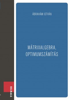 Ábrahám István - Mátrixalgebra, optimumszámítás