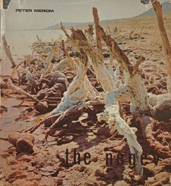Peter Merom - The Negev