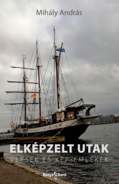 Mihly Andrs - Elkpzelt utak