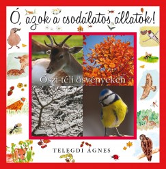 Telegdi Ágnes - Ó, azok a csodálatos állatok - Őszi-téli ösvényeken