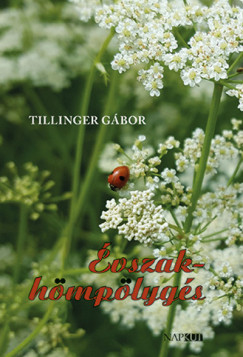 Tillinger Gbor - vszakhmplygs