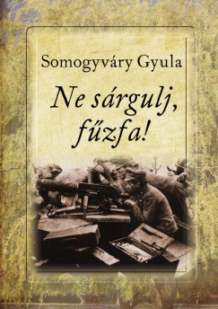 Somogyvry Gyula - Ne srgulj, fzfa!