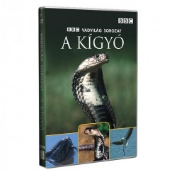 Több Előadó - A kígyó - DVD