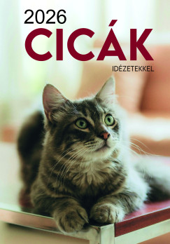 Cick falinaptr - 33x23 cm - 2026