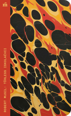Robert Musil - Törless iskolaévei