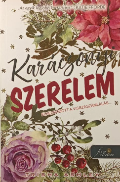 Trisha Ashley - Karácsonyi szerelem