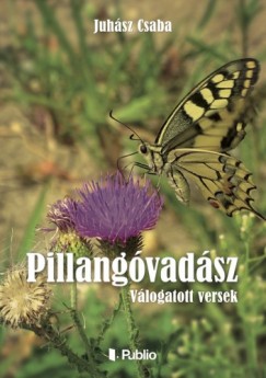 Juhsz Csaba - Pillangvadsz - Vlogatott versek
