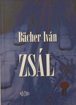 Bcher Ivn - Zsl