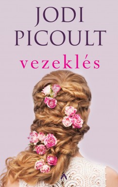 Jodi Picoult - Vezekls