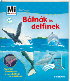 Elisabeth Kiefmann - Bálnák és delfinek