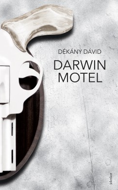 Dkny Dvid - Darwin Motel