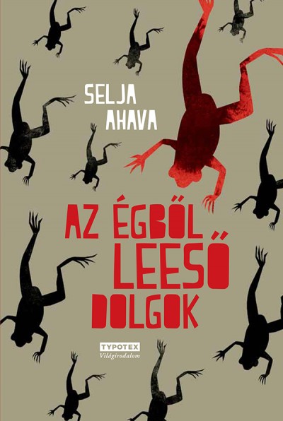 Selja Ahava - Az égből leeső dolgok