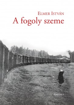 Elmer Istvn - A fogoly szeme