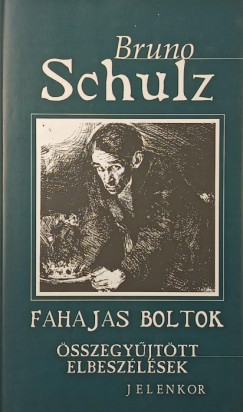 Bruno Schulz - Fahajas boltok