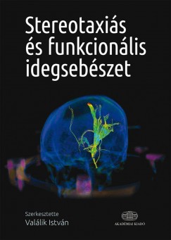 Valálik István - Stereotaxiás és funkcionális idegsebészet