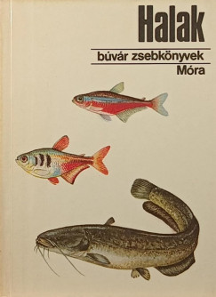 Wiesinger Márton - Halak