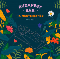 Budapest Br - Budapest Br: Ha megtehetnd - CD
